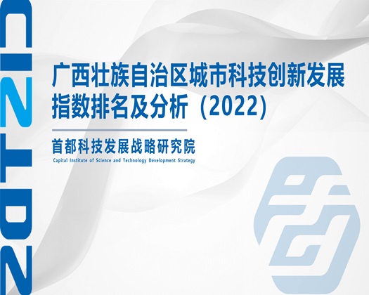 肏后入免费观看猛【成果发布】广西壮族自治区城市科技创新发展指数排名及分析（2022）